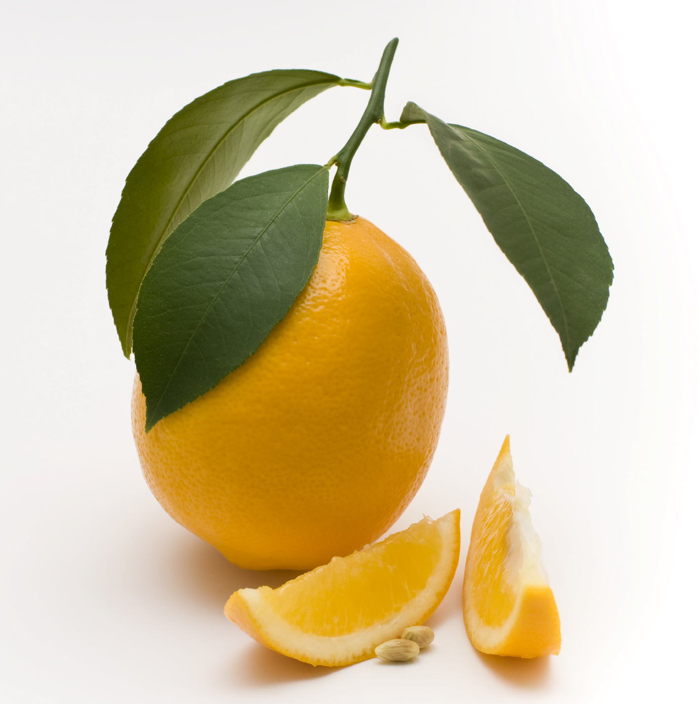 Свежесть лимона. Лимон. Лимон с листиком. Лимон на белом фоне. Лимоны с листочком.